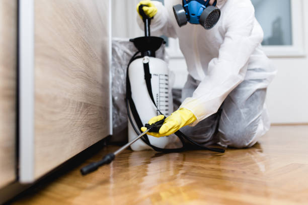 Trusted Running Springs, CA Pest Control Experts