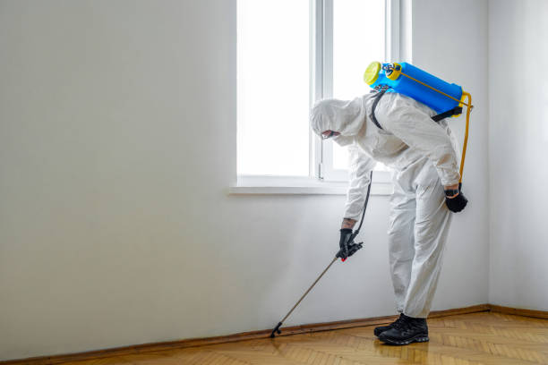 Best Residential Pest Control  in Running Springs, CA