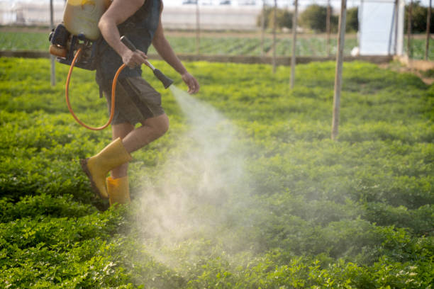 Pest Control for Restaurants in Running Springs, CA